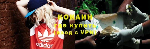 крисы Аркадак