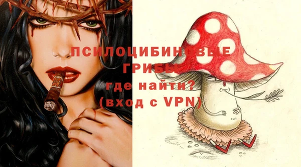 экстази Арсеньев