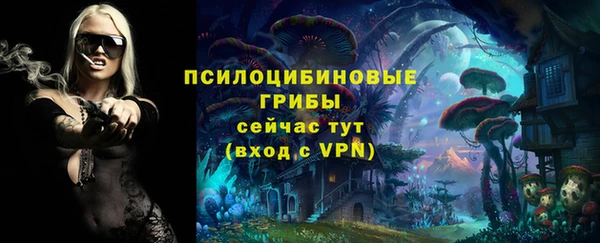 индика Абинск