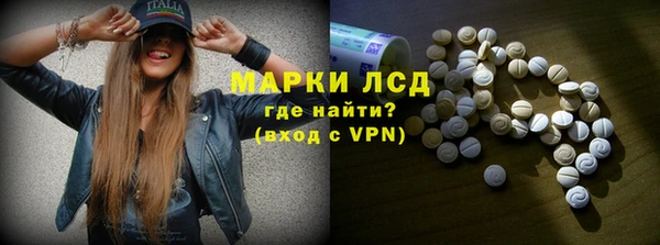 индика Абинск