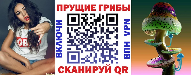 наркота  omg ссылка  Псилоцибиновые грибы Cubensis  сайты даркнета какой сайт  Каменск-Уральский 