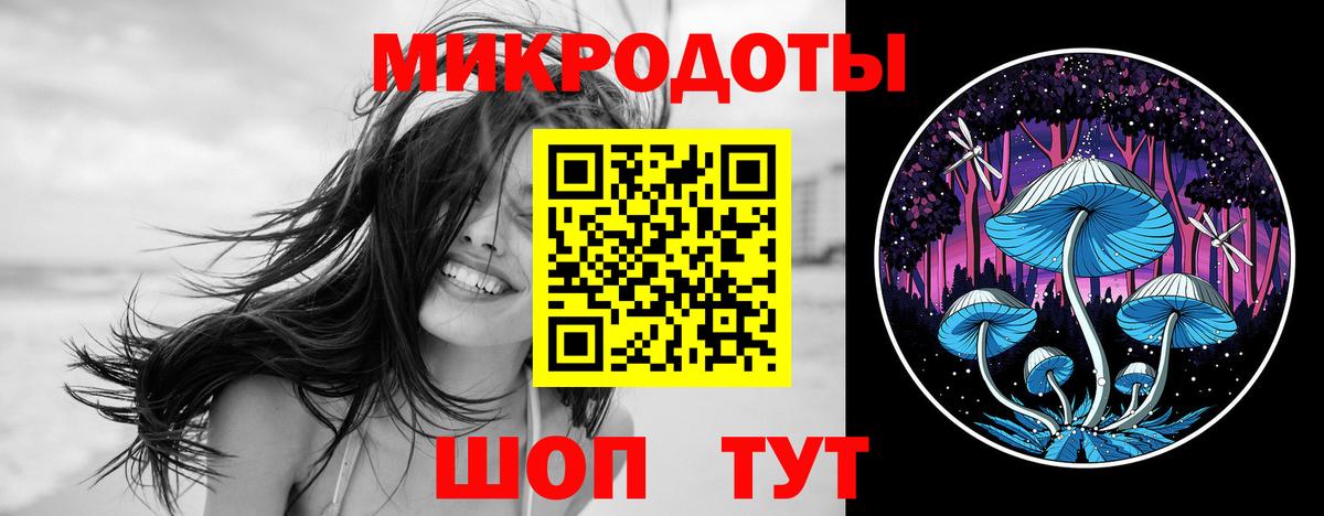 Псилоцибиновые грибы Psilocybe Каменск-Уральский