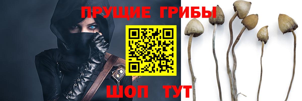 наркота  Галлюциногенные грибы мухоморы  Псилоцибиновые грибы MAGIC MUSHROOMS  Вход с VPN  Каменск-Уральский 